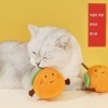 애완동물 오렌지 장난감 (S-2042)