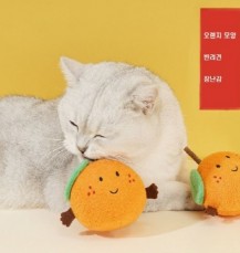 애완동물 오렌지 장난감 (S-2042)