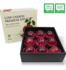 저탄소 GAP 인증 피치애플 엔부사과 (특대) 4kg(9과)_M