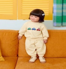 자동차상하복